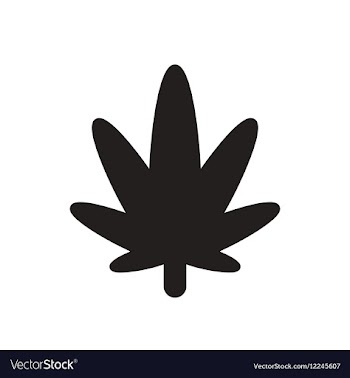 Flat icon in black and white cannabis vector image