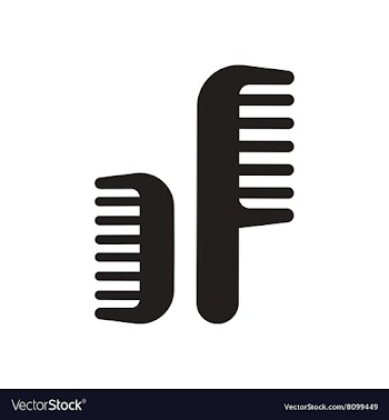 Flat icon in black and white combs vector image