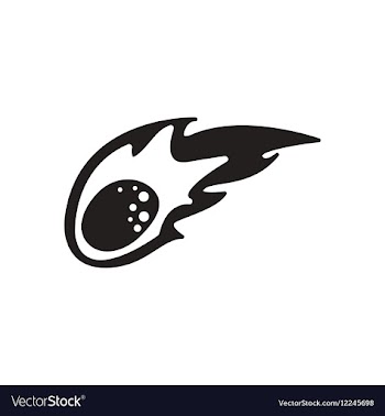 Flat icon in black and white comet vector image