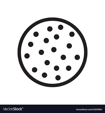 Flat icon in black and white cookie vector image