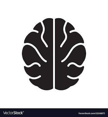 Flat icon in black and white human brain vector image