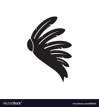 Flat icon in black and white Indian feathers vector image