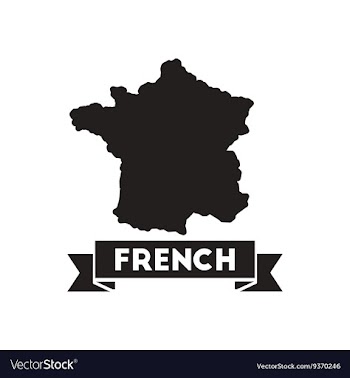Flat icon in black and white map of France vector image