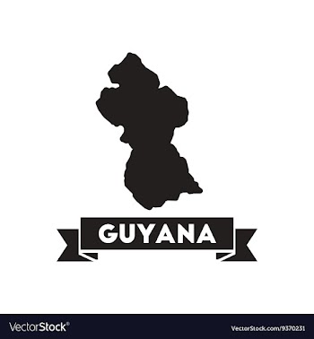 Flat icon in black and white maps of Guyana vector image