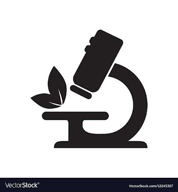 Flat icon in black and white microscope vector image