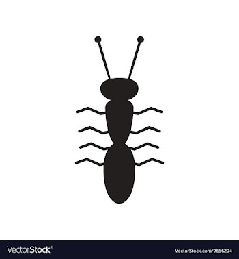 Flat icon in black and white style ant insect vector image