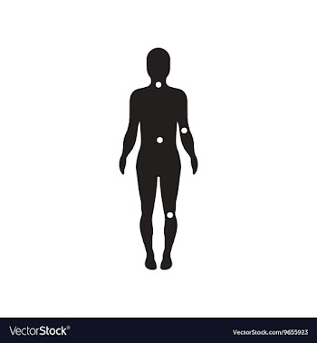 Flat icon in black and white style body vector image