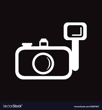 Flat icon in black and white style camera vector image