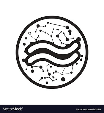 Flat icon in black and white style element zodiac vector image