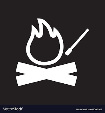 Flat icon in black and white style fire and match vector image
