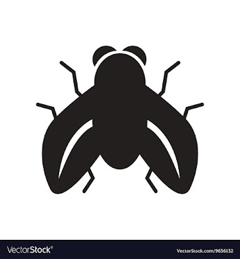 Flat icon in black and white style fly insect vector image