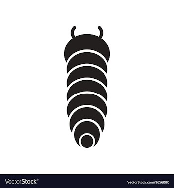 Flat icon in black and white style insect vector image