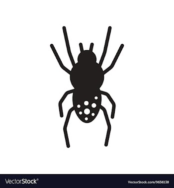 Flat icon in black and white style spider insect vector image