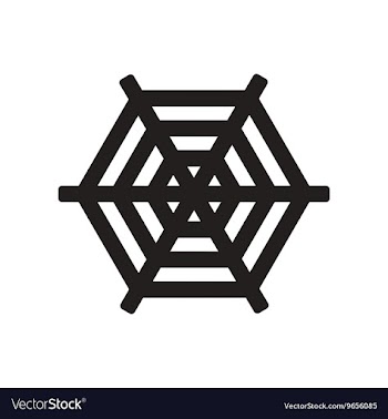 Flat icon in black and white style spider web vector image