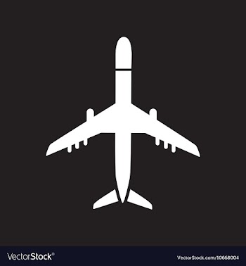 Flat icon in black and white style travel airplane vector image