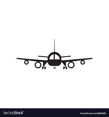 Flat icon in black and white style travel airplane vector image