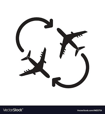 Flat icon in black and white style travel airplane vector image