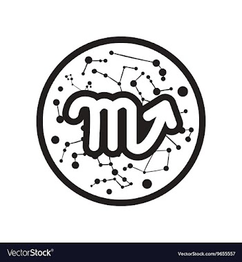 Flat icon in black and white style Zodiac signs vector image