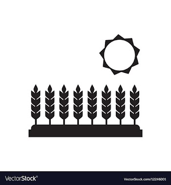 Flat icon in black and white Wheat field vector image
