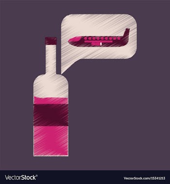 Flat icon in shading style airplane wine vector image