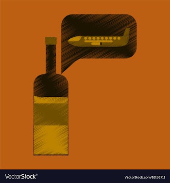 Flat icon in shading style airplane wine vector image
