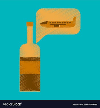 Flat icon in shading style airplane wine vector image