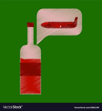 Flat icon in shading style airplane wine vector image