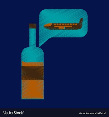 Flat icon in shading style airplane wine vector image