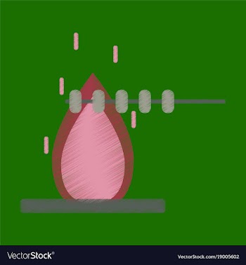 Flat icon in shading style bonfire marshmallows vector image