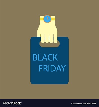 Flat icon of package in hand black friday vector image