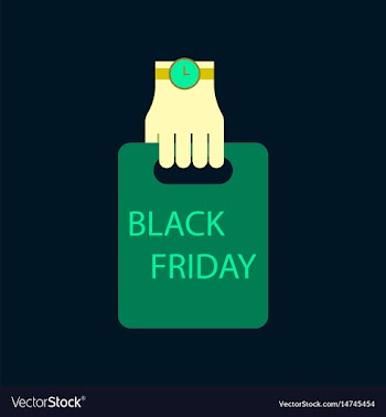 Flat icon of package in hand black friday vector image