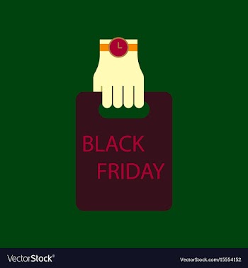 Flat icon of package in hand black friday vector image