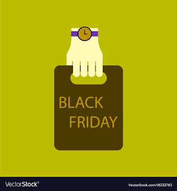 Flat icon of package in hand black friday vector image