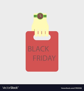 Flat icon of package in hand black friday vector image
