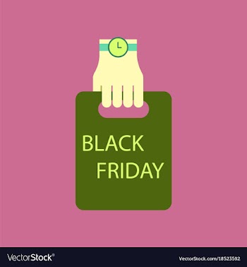 Flat icon of package in hand black friday vector image