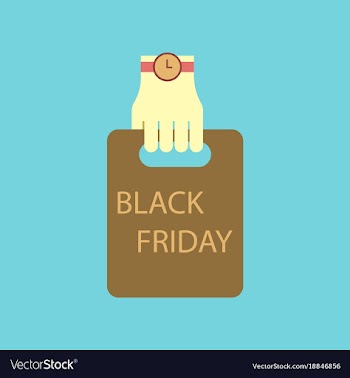 Flat icon of package in hand black friday vector image