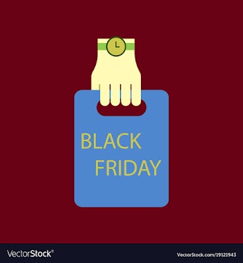 Flat icon of package in hand black friday vector image