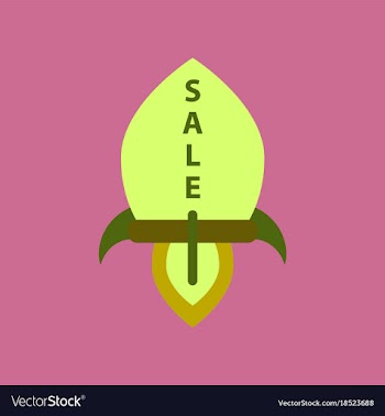 Flat icon of sale rocket vector image