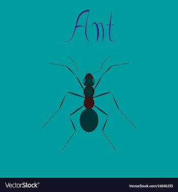 Flat icon on background ant vector image