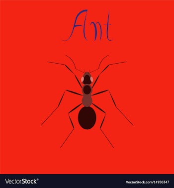 Flat icon on background ant vector image