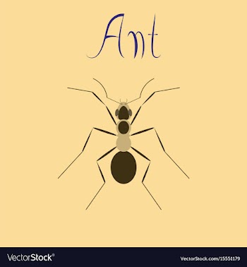 Flat icon on background ant vector image