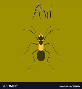 Flat icon on background ant vector image