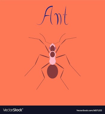 Flat icon on background ant vector image