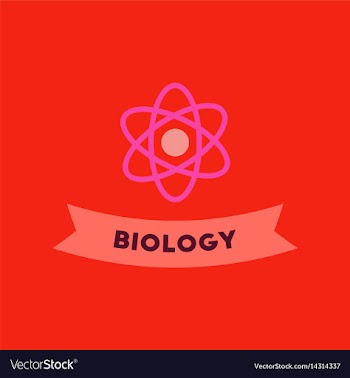 Flat icon on background biology molecule vector image