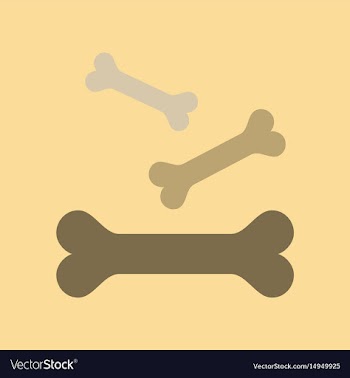 Flat icon on background bones for pets vector image