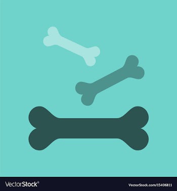 Flat icon on background bones for pets vector image