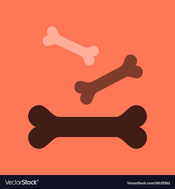 Flat icon on background bones for pets vector image