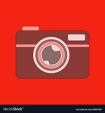 Flat icon on background camera vector image