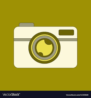 Flat icon on background camera vector image