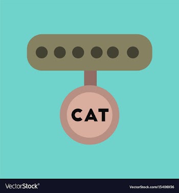Flat icon on background cat collar vector image